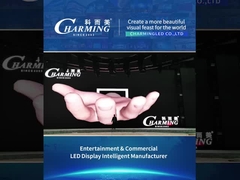 ประเภทการแสดงผลเชิงพาณิชย์ 11