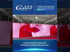 ซีรี่ย์สินค้าเช่า - ซีรีย์ CP